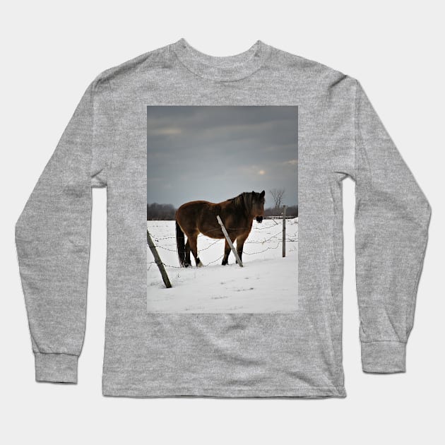 Horse in Winter Long Sleeve T-Shirt by photoclique